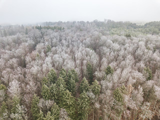Aerial view of trees covered with hoarfrost on cold winter day. Beautiful patterns of branches.