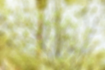 Abstract Sweet Magic Soft Rainbow Colorful Light Boken Texture Background