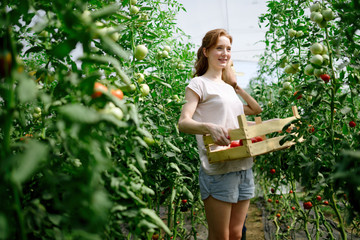 Attractive happy female farmer working in greenhouse