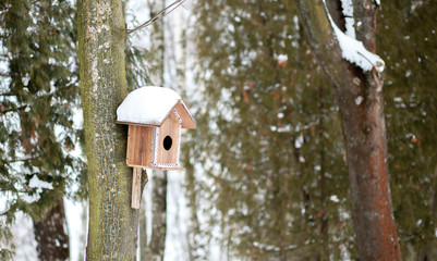 Feeder for birds in snow in winter forest