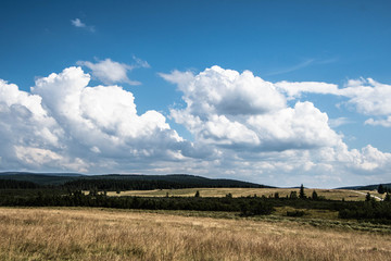 Na szlaku góry Izerskie, dolnośląskie, Polska , Europa © Piotr Czerkawski