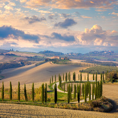 Landscape of hills, country road, cypresses trees - Italy - obrazy, fototapety, plakaty