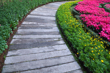 Pathway in the park.