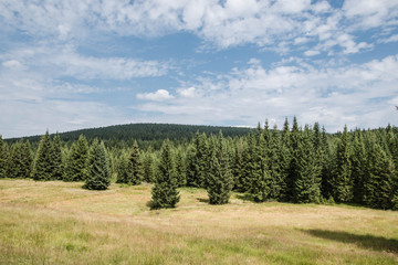 Na szlaku góry Izerskie. Dolnośląskie, Polska , Europa © Piotr Czerkawski