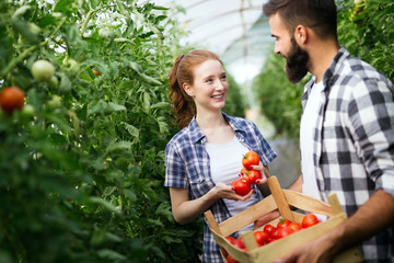 Young couple farming vegetables