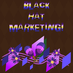 Conceptual hand writing showing Black Hat Marketing. Business photo showcasing Search optimization involves design site be found easily Colorful Instrument Maracas Flowers and Curved Musical Staff
