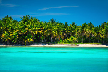 Obraz premium Exotic seascape and tropical beach in Punta Cana, Dominican Republic