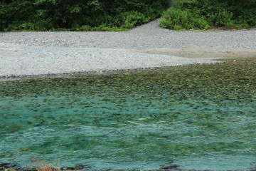 上高地の綺麗な川