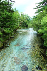 透明な上高地の川