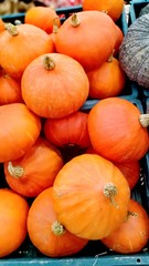 Obraz premium Pumpkin at fruit shop 