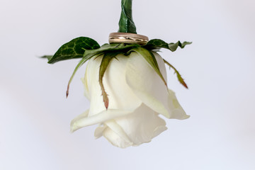 Wedding corsage buttonhole with gold ring