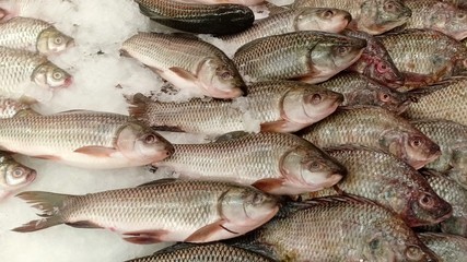 Obraz premium Fresh fish at morning seafood market 