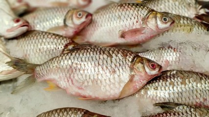 Obraz premium Fresh fish at morning tea with honey mustard 