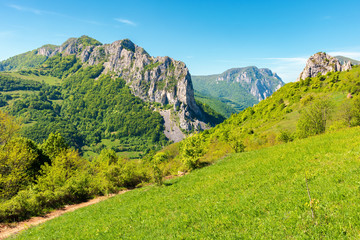 mountains of romania with steep cliffs above narrow valley. landscape with unusual land forms. beautiful springtime scenery. view from grassy hill