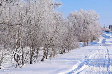 Beautiful winter landscape.Frosty Sunny day.Scenic view.