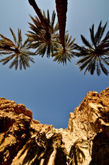 Fototapeta na wymiar Bergoase Chebika, Sahara Wüste, Tunesien, Afrika