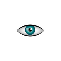 Realistic eye vector illustration isolated on white background.