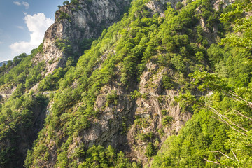 Sentiero del Tracciolino (Valchiavenna, Sondrio, Lombardia)