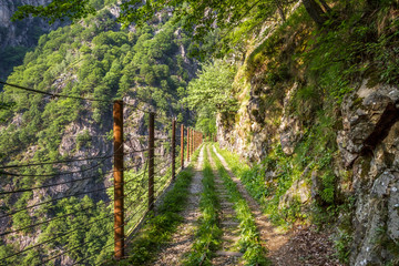 Sentiero del Tracciolino (Valchiavenna, Sondrio, Lombardia)