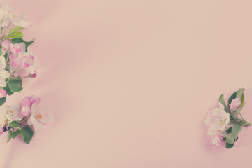 Fototapeta premium Spring tree flowers