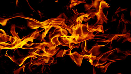 Fire flames on abstract art black background texture