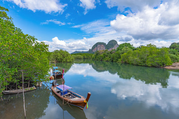 Fototapeta na wymiar Longtale on the Son river. Krabi Province, Southern Thailand