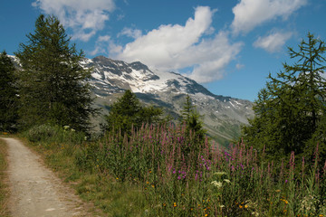 monti innevati