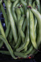 Faba beans
