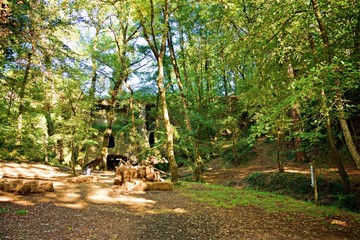 paesaggio naturale boschivo nei pressi di San Vincenzo a Torri, nel comune di Scandicci, in...