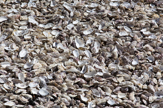 7 Ton Shell รูปภาพTankerton – เลือกดูภาพถ่ายสต็อก เวกเตอร์ และวิดีโอ146 | Adobe Stock