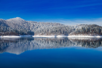 Reflection of wood under snow in lake in Gorski kotar Croatia, wonderful landscape in winter 