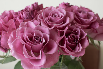 Roses For Saint Valentin