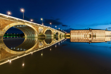 Fototapeta na wymiar Pont-Neuf in Toulouse
