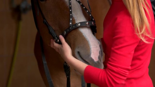 Close up hands of woman hugging a horse. Young girl petting her horse in stable. Horse therapy concept.