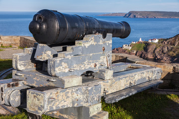 Cannon in St. John's