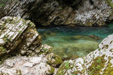 Fototapeta na wymiar Vintgar gorge and river, near Bled lake, Slovenia