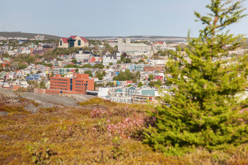 Obraz premium Panorama of St. John's, Newfoundland