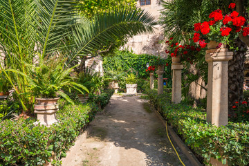 Fototapeta na wymiar Beautiful arabic gardens in Historic bath. Banys arabs in Palma de Mallorca.