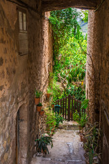 Valldemossa beautifuls streets decorated in plant pots and colorful flowers