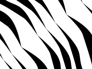 Background with black and white stripes, tiger texture, zebra.