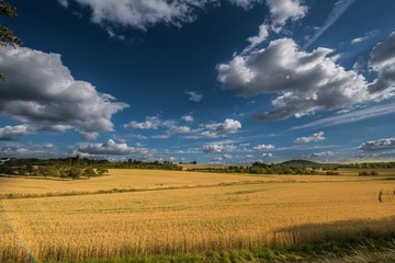 Obraz premium Sommer in Badenwürtemberg deutschland