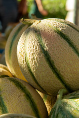 Melons from Cavaillon, ripe round charentais honey cantaloupe melons on local market in Provence,...
