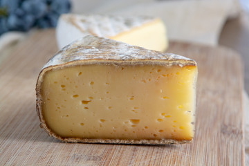 French hard cow or goat cheese Tomme or Tome, produced in French Alps