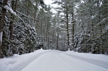 The beautiful view of Algonquin parks's landscape when you are snowshoeing during Winter Season