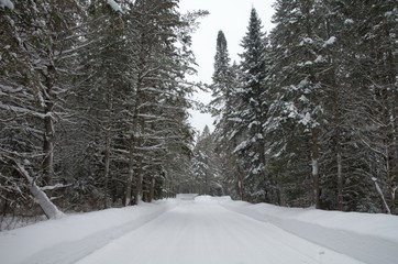 The beautiful view of Algonquin parks's landscape when you are snowshoeing during Winter Season