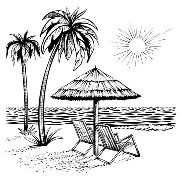 Beach view with palm, lounger and parasol, vector sketch illustration.