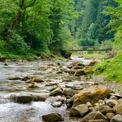 Wooden bridge in mountain river. Carpathians