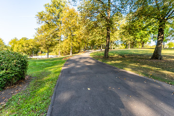 Park in Sunny Autumn Day With Golden Leaves in Trees, Latvia, Europe, Concept of Relaxing Travel day in Peace and Harmony on Countryside, Selective Focus