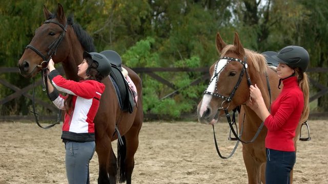 Happy female equestrians preparing their horse for riding. Two young pretty girls adjusting horses bridle outdoors. Getting ready for horseback riding.