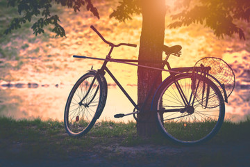 Vintage bicycle by tree at sunset